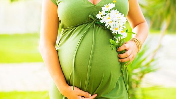 水仙花有毒吗 能够在室内养吗